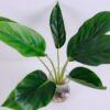 Artificial Plant 41*34*38CM Leaves*7 in glass pot GS-24520005