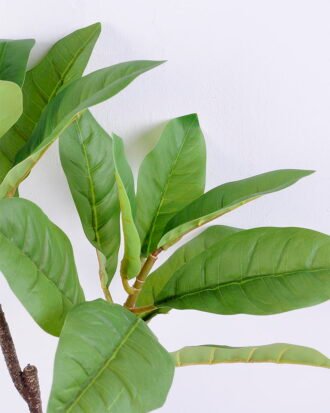 Artificial Plant 35*63CM Leaves spray GS-09820009-G1 Potted Flowers&Plants YeahFlower is one of Chinese leading OEM manufacturers and exporters , supplying the silk flowers, wholesale artificial trees Artificial Plant 35*63CM Leaves spray GS-09820009-G1