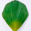 Artificial Plant 38*2*111CM Singel frond GS-50518017-G2