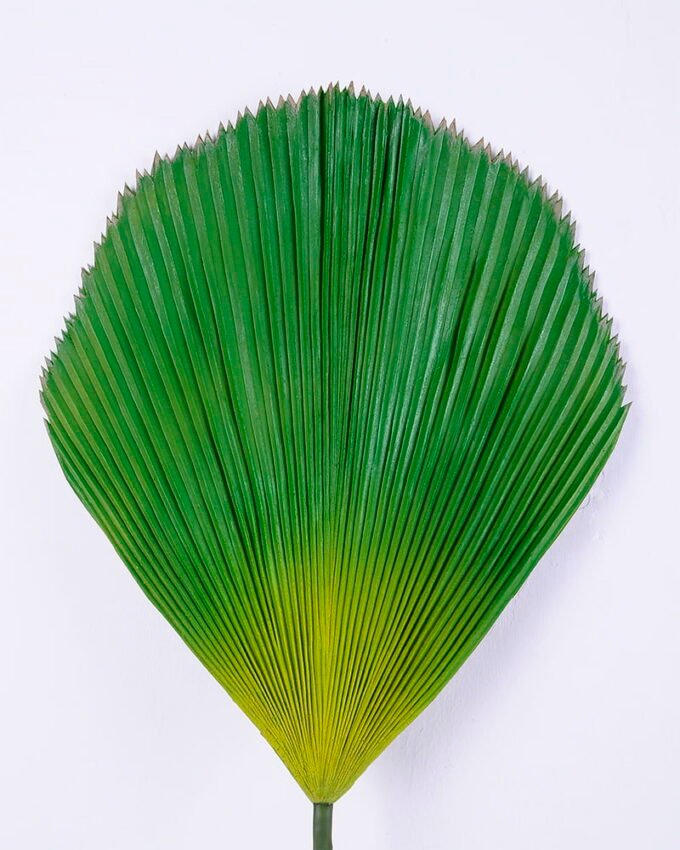 Artificial Plant 38*2*111CM Singel frond GS-50518017-G2