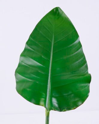 Artificial Plant 19*80CM Single Bird Of Paradise(S) GS-50520003