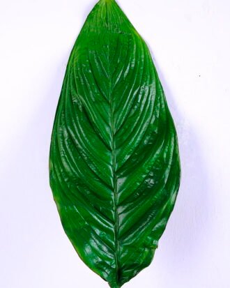 Artificial Plant 20*105CM Single Leaf(L) GS-50520017