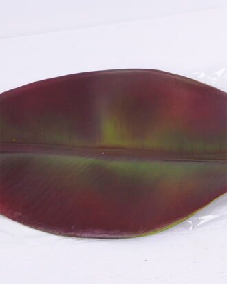 Artificial Plant 19.5*74CM Single Leaf(M) GS-50520005