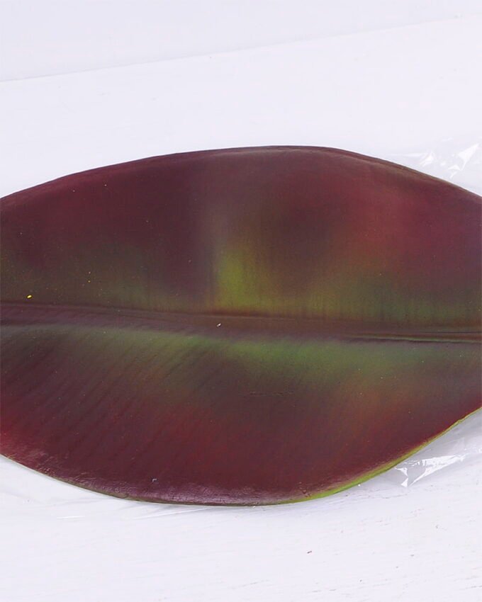 Artificial Plant 19.5*74CM Single Leaf(M) GS-50520005