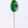 Artificial Plant 15*70CM Single Leaf(S) GS-50520006