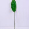 Artificial Plant 13*79CM Single Leaf(S) GS-50520018