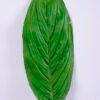 Artificial Plant 13*79CM Single Leaf(S) GS-50520018