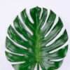 Artificial Plant 36*98CM Single Monstera GS-50520004