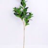 Artificial Plant 22*75CM Sweet bean leaf*3 GS-09819019-G1