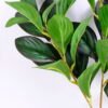 Artificial Plant 22*75CM Sweet bean leaf*3 GS-09819019-G1