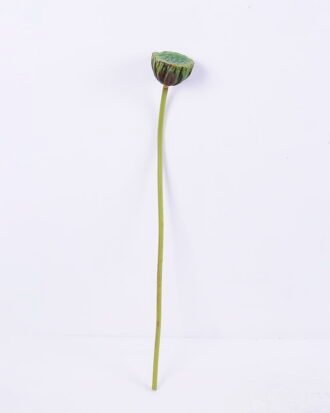 Artificial Plant 8*70CM seedpod?of?the?lotus GS-50519010-G2