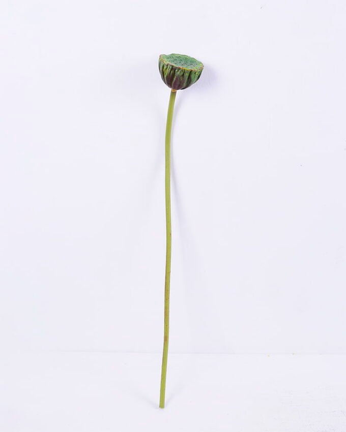 Artificial Plant 8*70CM seedpod?of?the?lotus GS-50519010-G2