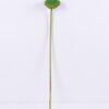Artificial Plant 11*80CM seedpod?of?the?lotus(L) GS-50518020-G3