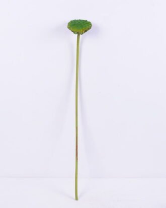 Artificial Plant 11*80CM seedpod?of?the?lotus(L) GS-50518020-G3