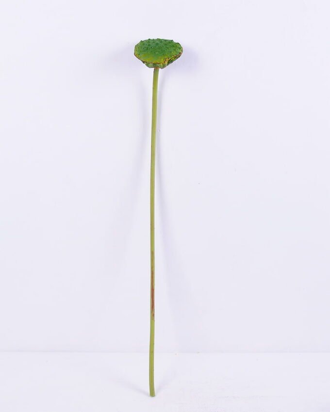 Artificial Plant 11*80CM seedpod?of?the?lotus(L) GS-50518020-G3