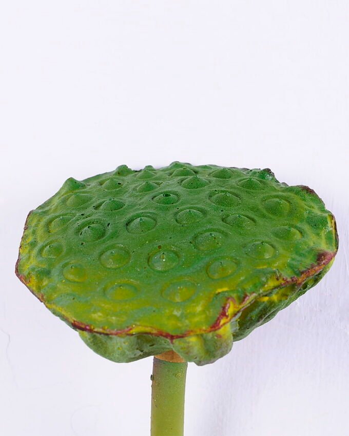 Artificial Plant 11*80CM seedpod?of?the?lotus(L) GS-50518020-G3
