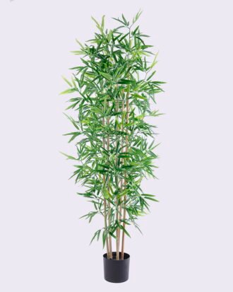 Artificial Tree 67*55*170CM Bamboo tree in the plastic pot/lvs1104 GS-30420010
