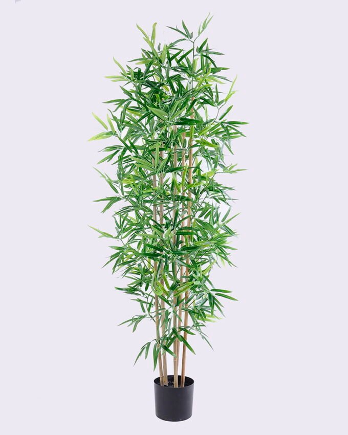 Artificial Tree 67*55*170CM Bamboo tree in the plastic pot/lvs1104 GS-30420010 1 Artificial Tree 67*55*170CM Bamboo tree in the plastic pot/lvs1104 GS-30420010