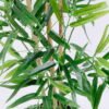 Artificial Tree 51*47*85CM Bamboo tree in the plastic pot/lvs336 GS-30420011