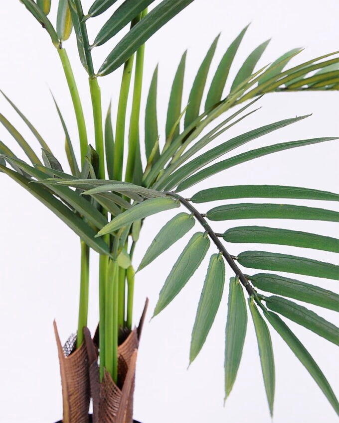 Artificial Tree 60*60*80cm Kwai tree in plastic pot GF-07220013