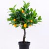 Artificial Tree 47*47*60CM Lemon tree in plastic pot GS-30420007 1 Artificial Tree 47*47*60CM Lemon tree in plastic pot GS-30420007