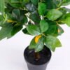 Artificial Tree 47*47*60CM Lemon tree in plastic pot GS-30420007 2 Artificial Tree 47*47*60CM Lemon tree in plastic pot GS-30420007