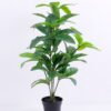 Artificial Tree 45*45*67cm Pachira in Plastic GF-46920002