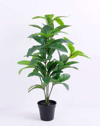 Artificial Tree 45*45*67cm Pachira in Plastic GF-46920002