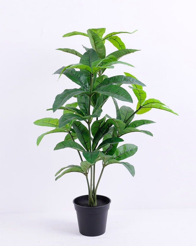 Artificial Tree 45*45*67cm Pachira in Plastic GF-46920002