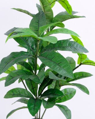 Artificial Tree 45*45*67cm Pachira in Plastic GF-46920002