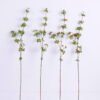 Artificial Flower 10*79CM Berry spray GS-10620001