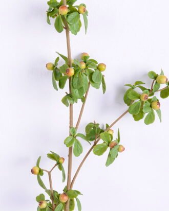 Artificial Flower 10*79CM Berry spray GS-10620001