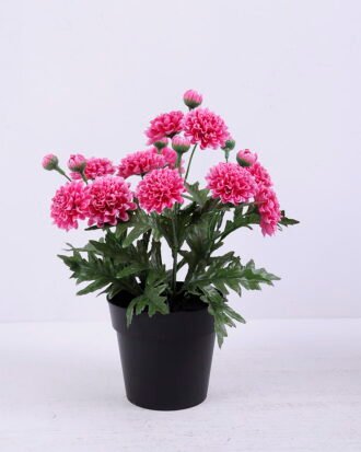 Artificial Flower 20*20*27cm Chrysanthemum in Plastic pot GS-03320076-R1 Potted Flowers&Plants YeahFlower is one of Chinese leading OEM manufacturers and exporters , supplying the silk flowers, wholesale artificial trees Artificial Flower 20*20*27cm Chrysanthemum in Plastic pot GS-03320076-R1