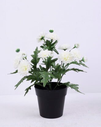 Artificial Flower 20*20*27cm Chrysanthemum in Plastic pot GS-03320076-W1 Potted Flowers&Plants YeahFlower is one of Chinese leading OEM manufacturers and exporters , supplying the silk flowers, wholesale artificial trees Artificial Flower 20*20*27cm Chrysanthemum in Plastic pot GS-03320076-W1