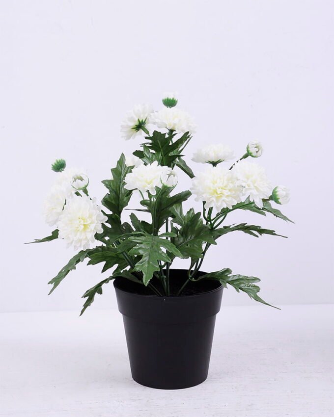 Artificial Flower 20*20*27cm Chrysanthemum in Plastic pot GS-03320076-W1 1 Artificial Flower 20*20*27cm Chrysanthemum in Plastic pot GS-03320076-W1