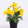 Artificial Flower 20*20*27cm Chrysanthemum in Plastic pot GS-03320076-Y1 1 Artificial Flower 20*20*27cm Chrysanthemum in Plastic pot GS-03320076-Y1