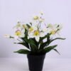 Artificial Flower 25*25*31cm Cymbidium in plastic pot GS-03320080-W1