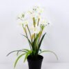 Artificial Flower 36*36*51cm Daffodil in plastic pot GS-03320081-W1