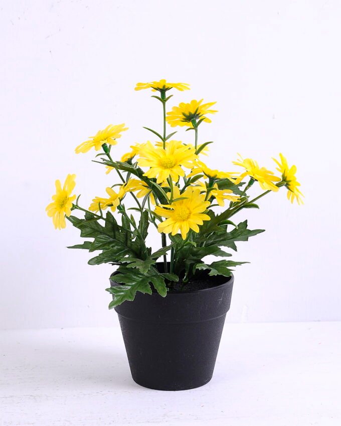 Artificial Flower 17*17*22cm Daisy in plastic pot GS-03320054-Y1