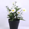 Artificial Flower 17*17*22cm Daisy in plastic pot GS-03320054-Y1
