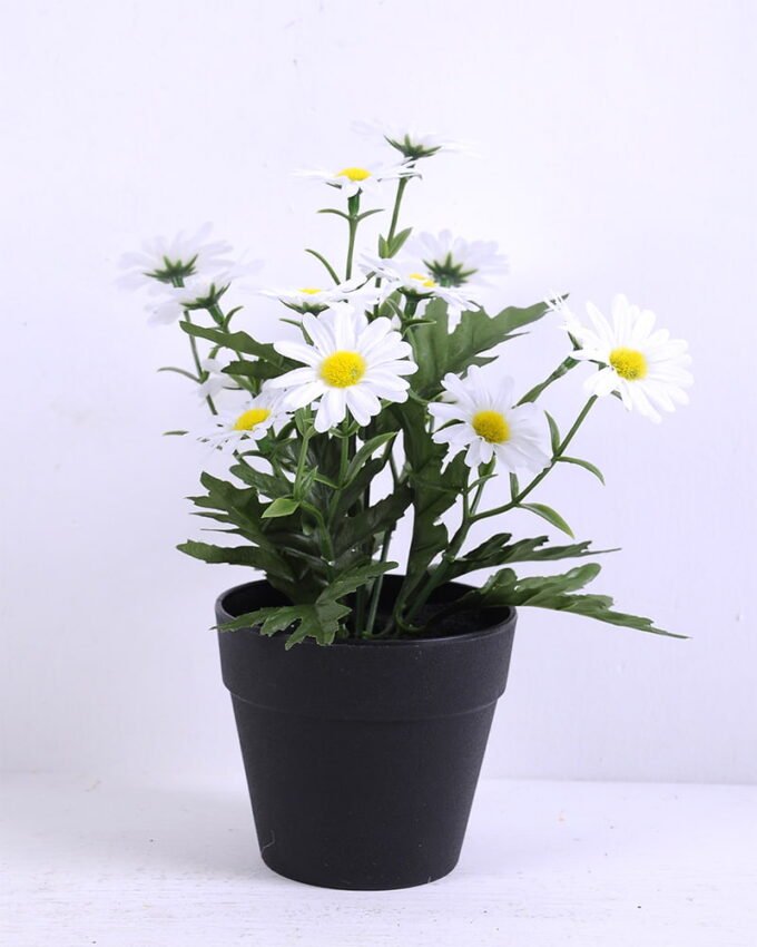 Artificial Flower 17*17*22cm Daisy in plastic pot GS-03320054-Y1