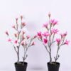 Artificial Flower 45*39*72CM Magnolia in plastic pot GS-15420020 1 Artificial Flower 45*39*72CM Magnolia in plastic pot GS-15420020