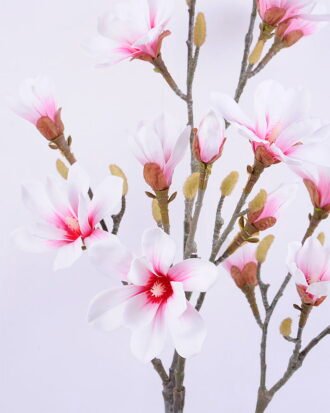 Artificial Flower 45*39*72CM Magnolia in plastic pot GS-15420020 Potted Flowers&Plants YeahFlower is one of Chinese leading OEM manufacturers and exporters , supplying the silk flowers, wholesale artificial trees Artificial Flower 45*39*72CM Magnolia in plastic pot GS-15420020