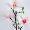 Artificial Flower 20*78CM Mangnolia Spray GS-53620003-P1