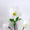 Artificial Flower 20*78CM Mangnolia Spray GS-53620003-W1