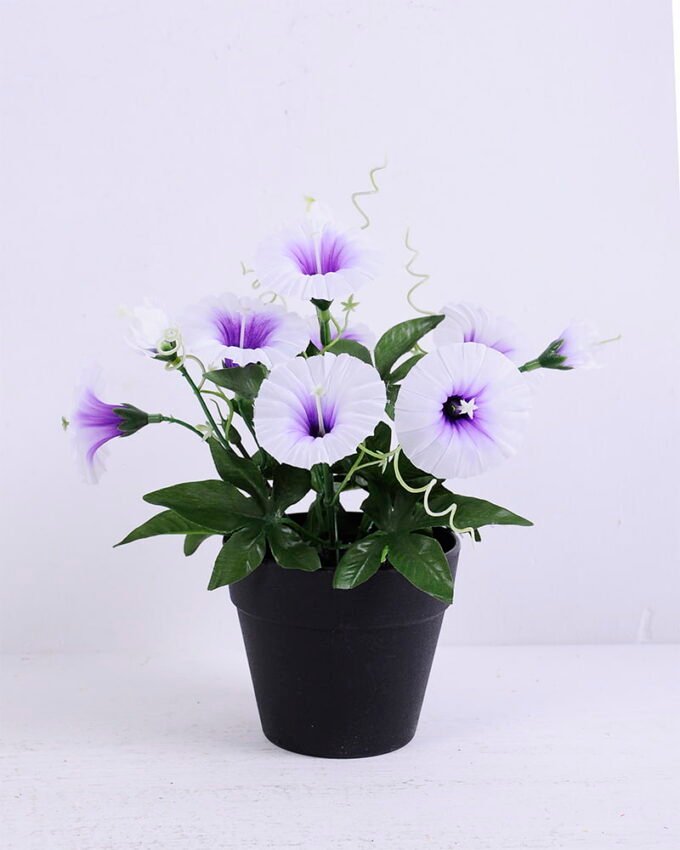 Artificial Flower 19*16*23cm Morning glory in plastic pot GS-03320055-Z1