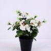 Artificial Flower 26*26*29cm Pansy in Plastic pot GS-03320078-W1 1 Artificial Flower 26*26*29cm Pansy in Plastic pot GS-03320078-W1