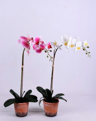 Artificial Flower 26*18*63CM Phalaenopsis in Terra-cotta effect plastic pot GS-15420017 Potted Flowers&Plants YeahFlower is one of Chinese leading OEM manufacturers and exporters , supplying the silk flowers, wholesale artificial trees Artificial Flower 26*18*63CM Phalaenopsis in Terra-cotta effect plastic pot GS-15420017