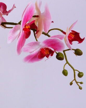 Artificial Flower 26*18*63CM Phalaenopsis in Terra-cotta effect plastic pot GS-15420017 Potted Flowers&Plants YeahFlower is one of Chinese leading OEM manufacturers and exporters , supplying the silk flowers, wholesale artificial trees Artificial Flower 26*18*63CM Phalaenopsis in Terra-cotta effect plastic pot GS-15420017