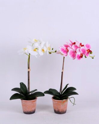 Artificial Flower 33*28*52CM Phalaenopsis in Terra-cotta effect plastic pot GS-15420018 Potted Flowers&Plants YeahFlower is one of Chinese leading OEM manufacturers and exporters , supplying the silk flowers, wholesale artificial trees Artificial Flower 33*28*52CM Phalaenopsis in Terra-cotta effect plastic pot GS-15420018